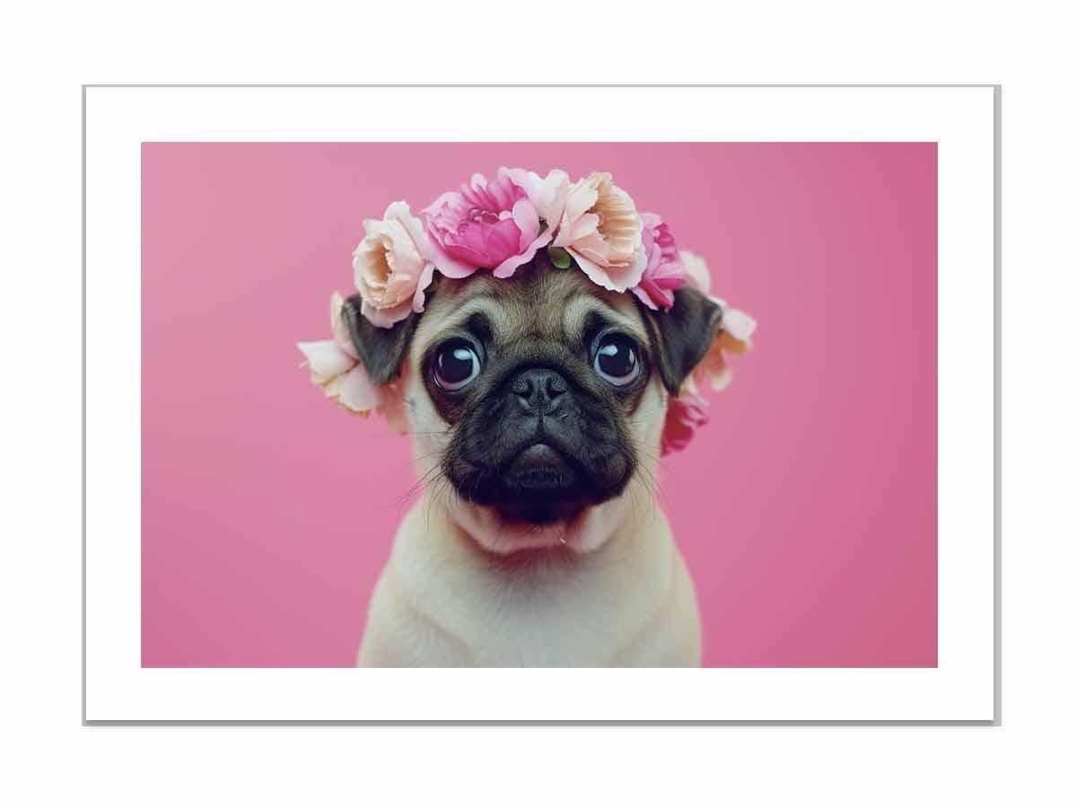 image-Pug Dog Framed Print