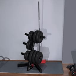 image-VEVOR Weight Plate Rack, L Frame Weight Plate Tree for 2-Inch Weight Plates, Standard Weight Plate Tree, 500 lbs Load Capacity Weight Storage Holder, Home Gym Barbell Rack Storage Stand, Black & Red