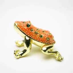image-Golden Red Frog