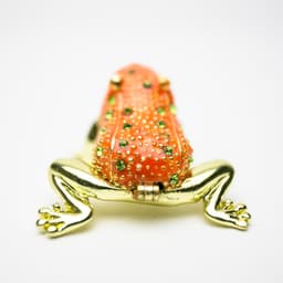 image-Golden Red Frog