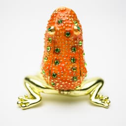 image-Golden Red Frog