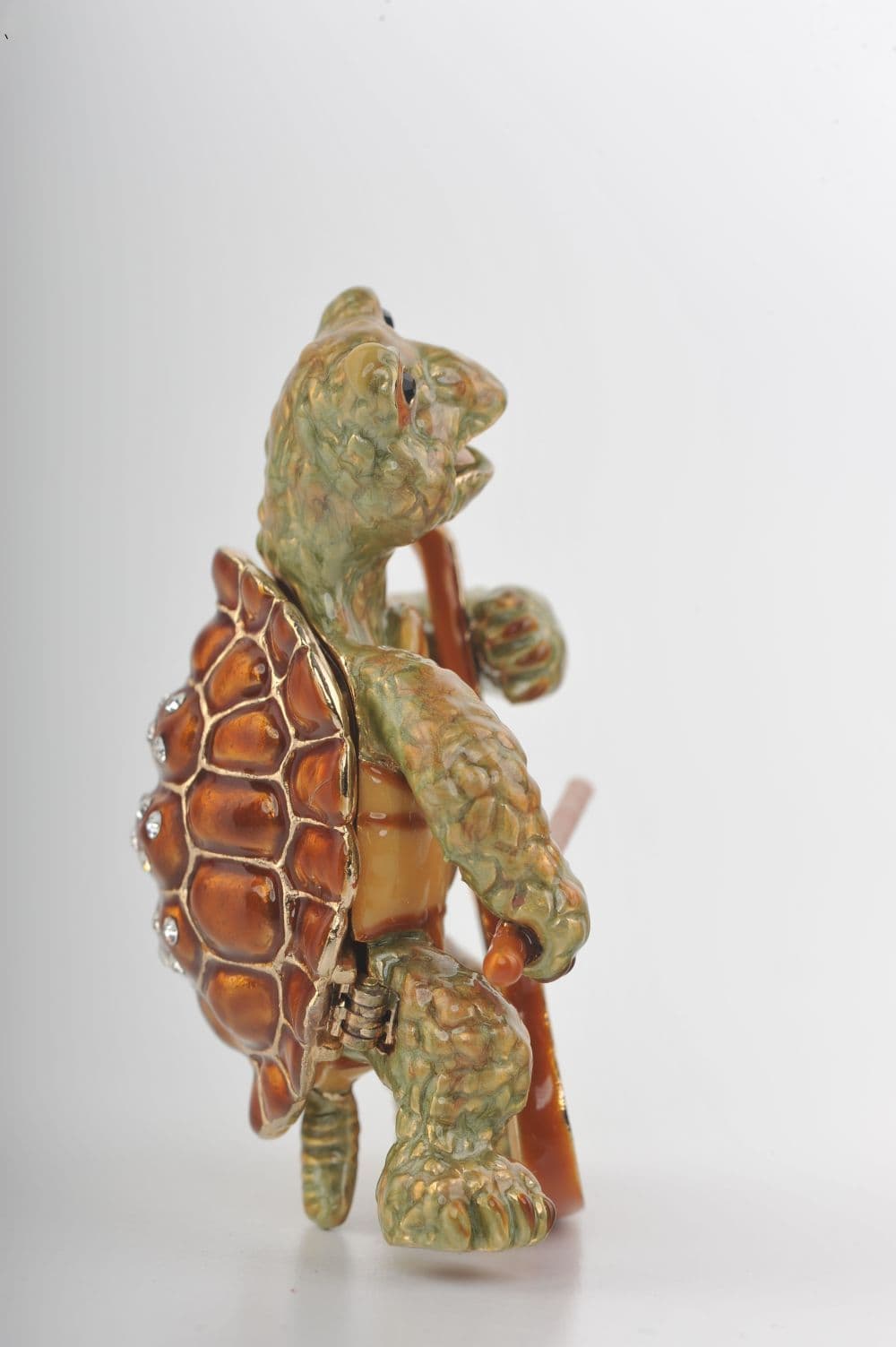 image-Turtle Playing the Cello