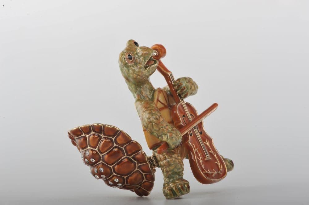 image-Turtle Playing the Cello
