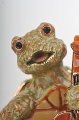 image-Turtle Playing the Cello