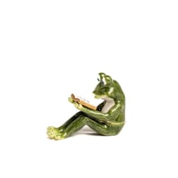 image-Frog Reading a Book