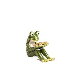 image-Frog Reading a Book