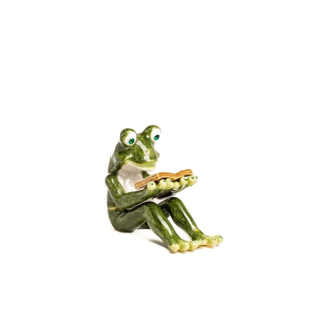 image-Frog Reading a Book
