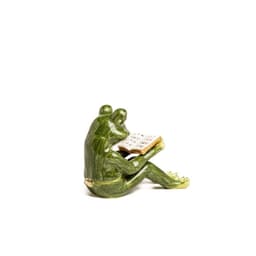 image-Frog Reading a Book