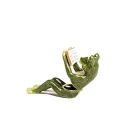 image-Frog Reading a Book