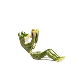image-Frog Reading a Book
