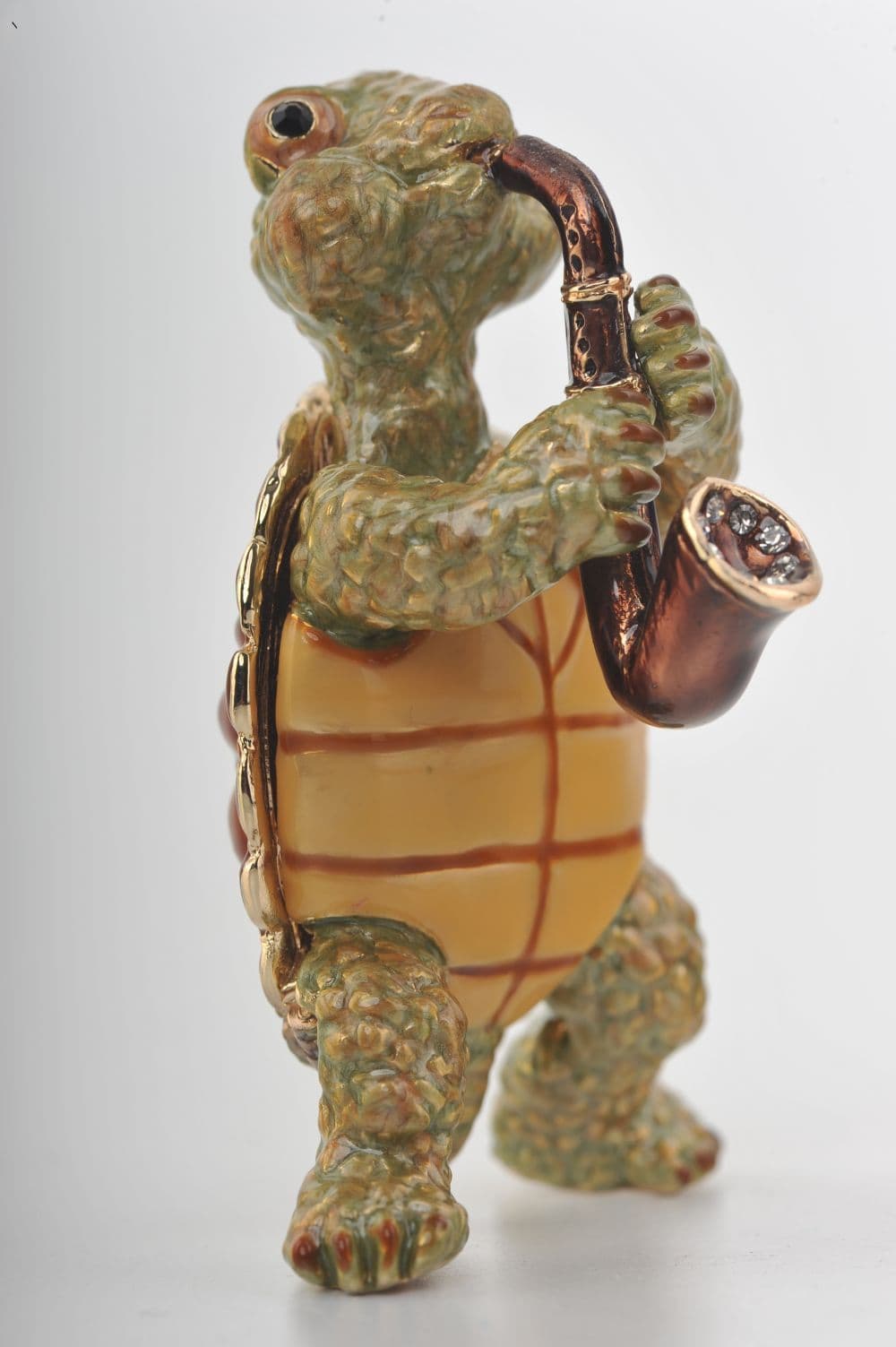 image-Turtle Playing the Saxophone