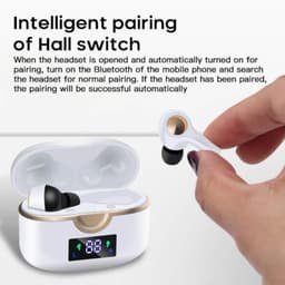 image-Ninja Dragon Power Bass Touch Bluetooth 5.0 T22PRO Earbuds