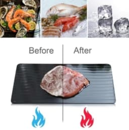 image-Fast Defrosting Thaw Food Tray for Meat and Seafood