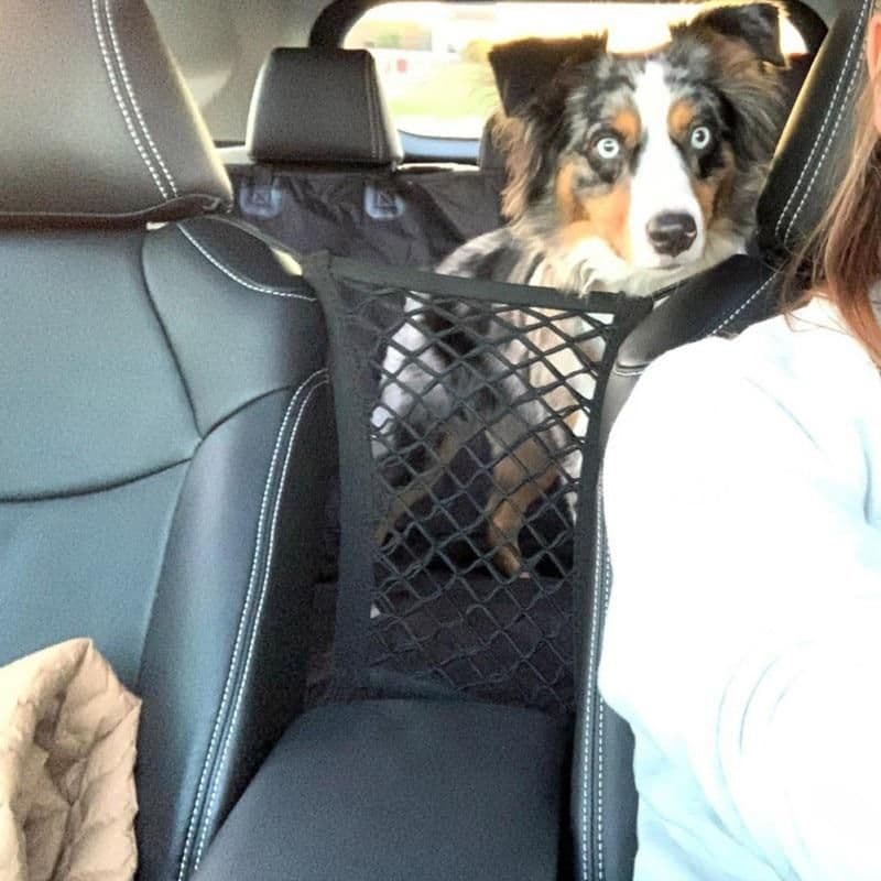 image-High Quality Premium Pet Car Net Petition