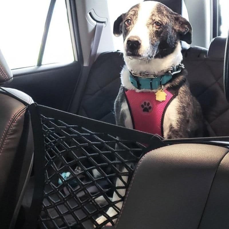 image-High Quality Premium Pet Car Net Petition