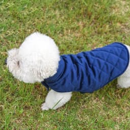 image-Dogs Winter Warm Vest