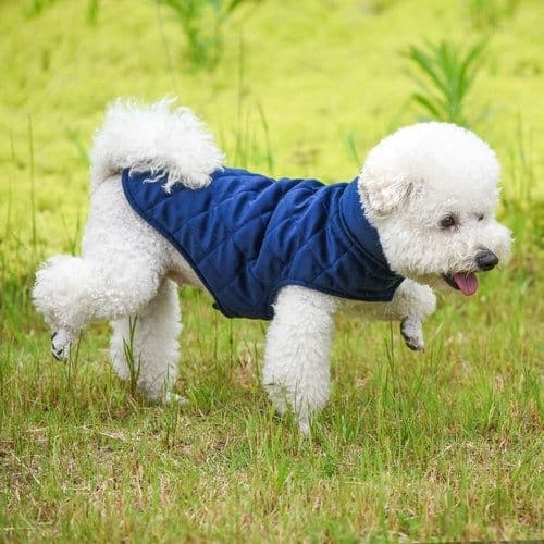 image-Dogs Winter Warm Vest
