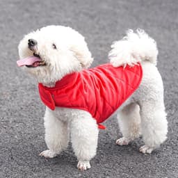 image-Dogs Winter Warm Vest
