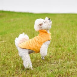 image-Dogs Winter Warm Vest