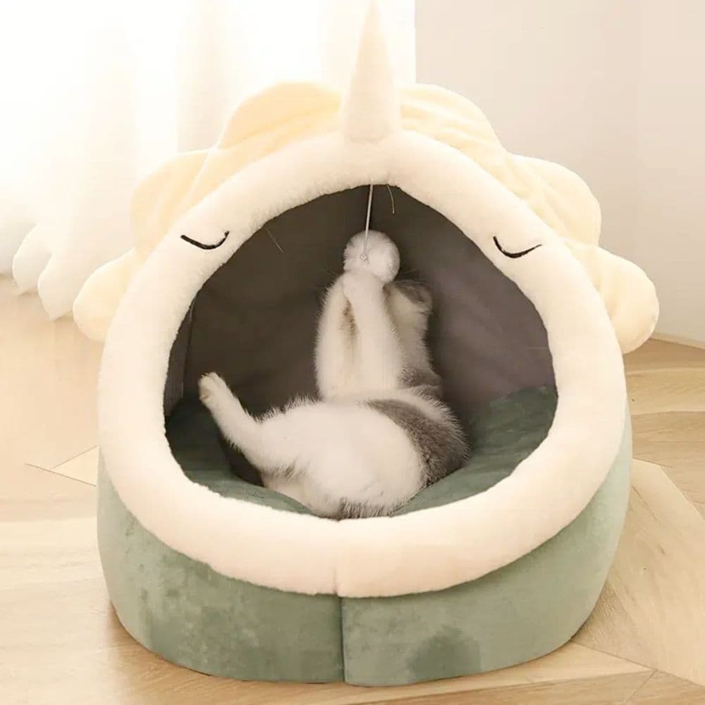 image-Adorable Dinosaur Pet House with Toy