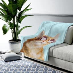 image-Cat Rules Velveteen Plush Blanket
