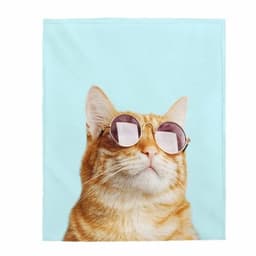 image-Cat Rules Velveteen Plush Blanket