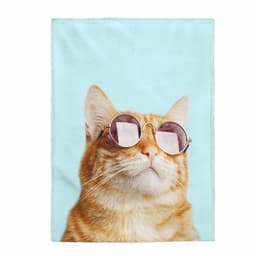 image-Cat Rules Velveteen Plush Blanket