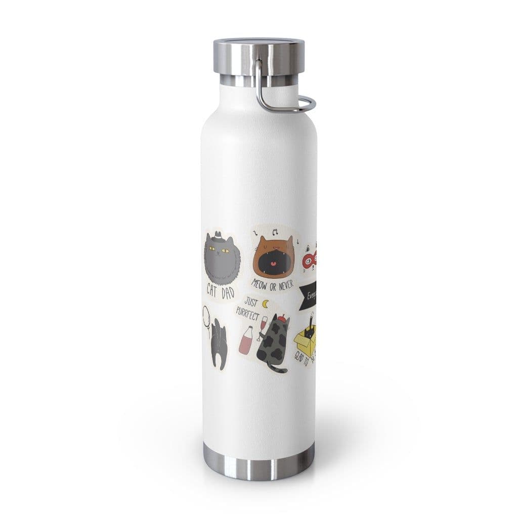 image-Everyday is Cat Day Insulated Thermos Bottle 22oz