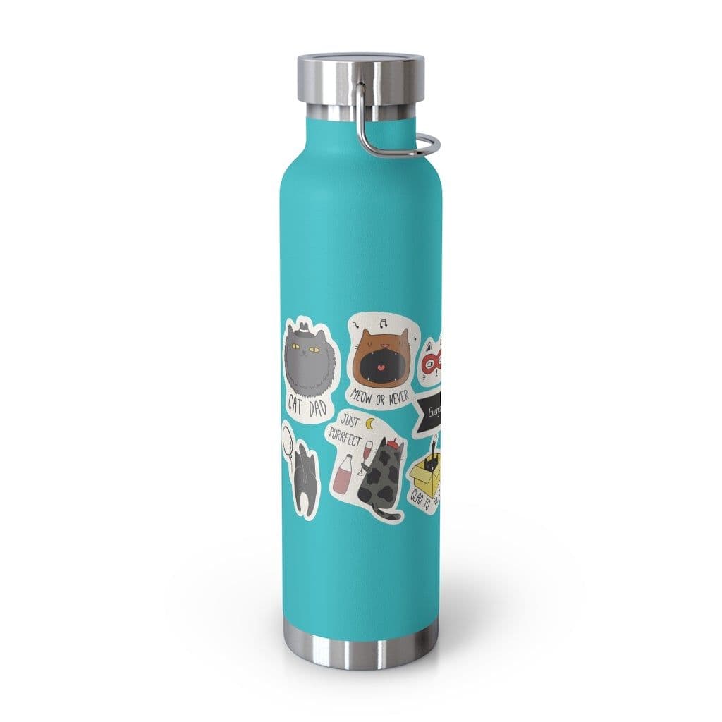 image-Everyday is Cat Day Insulated Thermos Bottle 22oz
