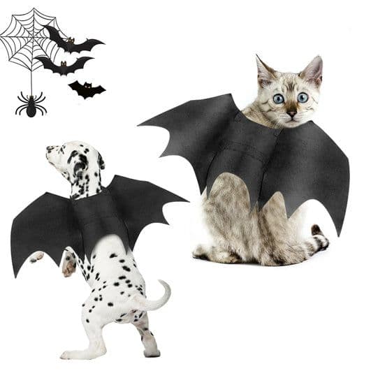 image-Halloween Pet Bat Wings Costume Cat and Dogs