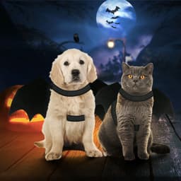 image-Halloween Pet Bat Wings Costume Cat and Dogs