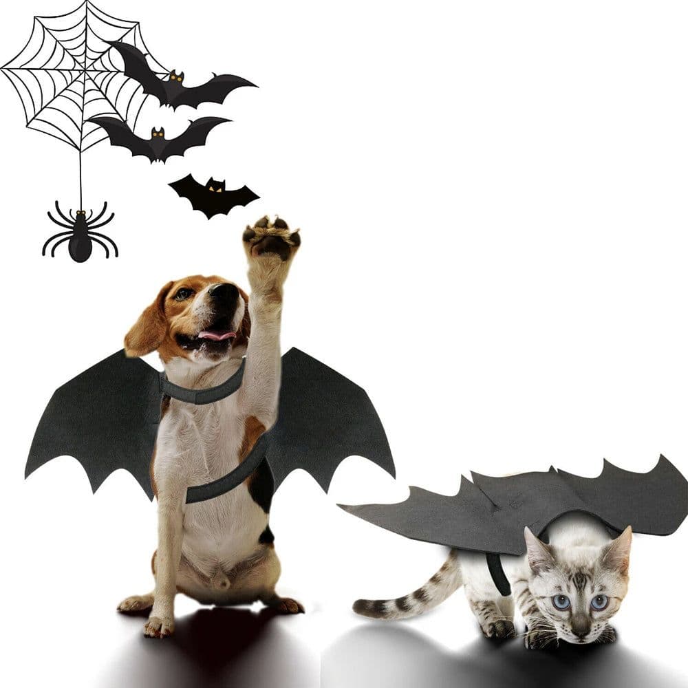 image-Halloween Pet Bat Wings Costume Cat and Dogs