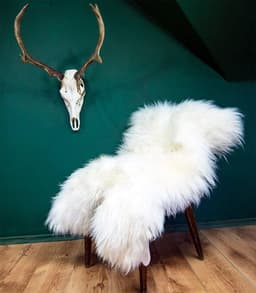 image-Very Big Bright Ivory Lambskin Rug. 120 cm.