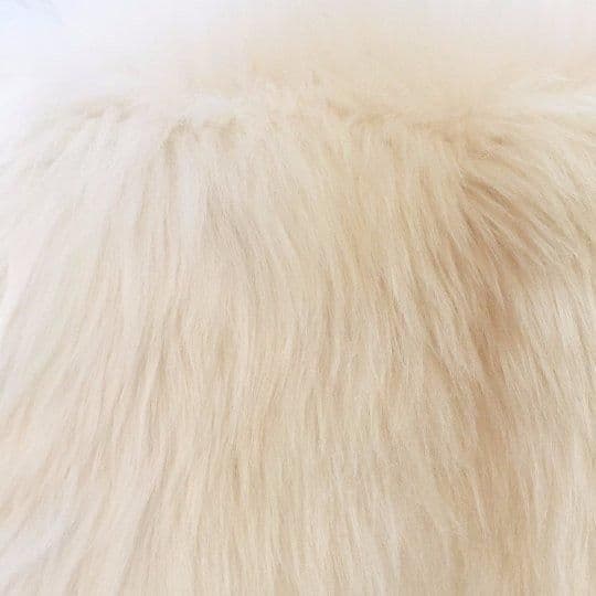 image-Very Big Bright Ivory Lambskin Rug. 120 cm.