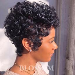 image-Human hair Short Curly wigs for Black Women Cheap Full Lace Brazilian