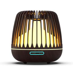 image-Electric Essential Oil Diffuser Air Humidifier Ultrasonic Diffuser