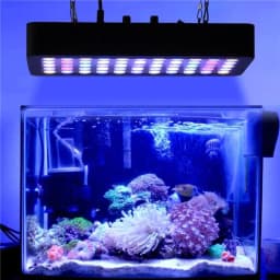 image-LED Aquarium Light 165W Full Spectrum Dimmable for Fish Tank Coral