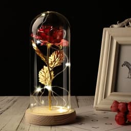 image-Party Wedding Valentine Gift Rose In Glass Dome Beauty Rose Forever