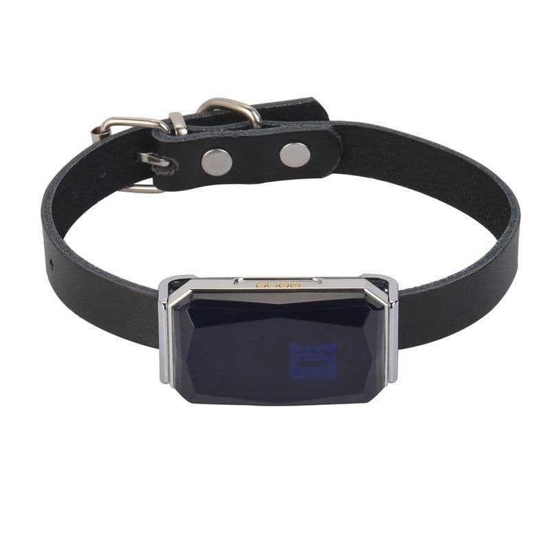 image-Topin G12 GPS Pet Locator IP67 Waterproof - Blue