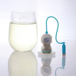image-Tea Diver Tea Infuser