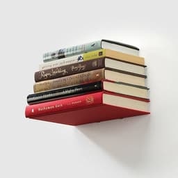 image-Conceal Shelf