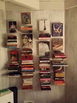image-Conceal Shelf
