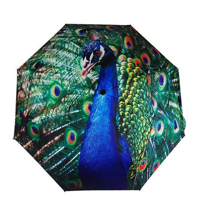 image-Peacock Sunny Umbrella