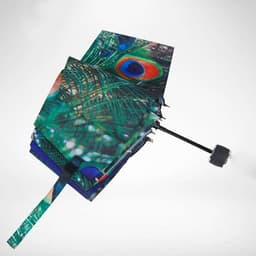 image-Peacock Sunny Umbrella