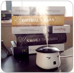 image-Sauna Boy USB Mini Humidifier