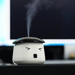 image-Sauna Boy USB Mini Humidifier
