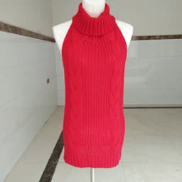 image-Autumn sexy halter sexy sweater female high neck sleeveless knit pullover girl danzi cos 1369-1