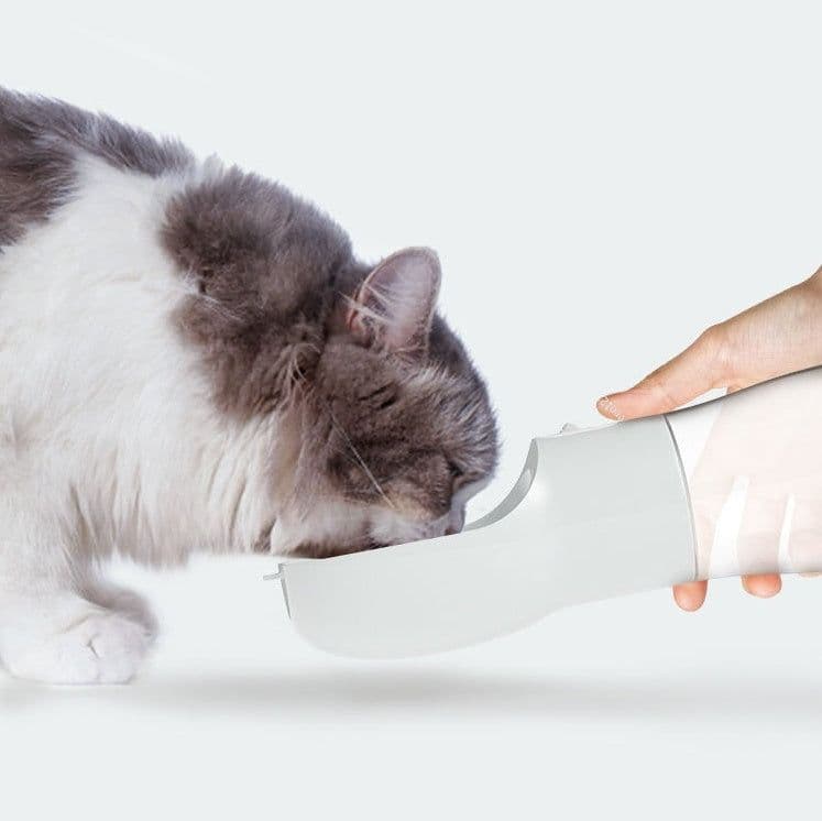 image-Traveling Out Portable Dog Water Dispenser