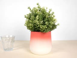 image-Flowertop - Medium