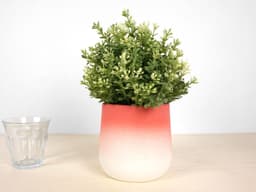 image-Flowertop - Medium